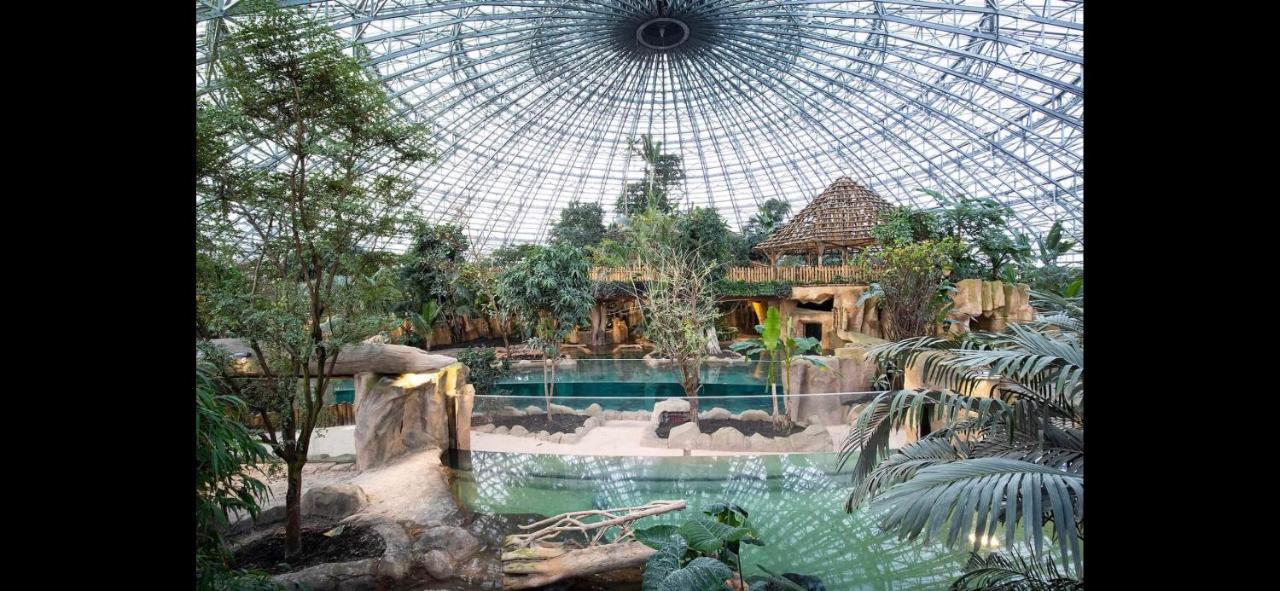 Gite Zooval 9 Personnes, Piscine, A 5 Min Du Zoo De Beauval Noyers-sur-Cher Exterior foto